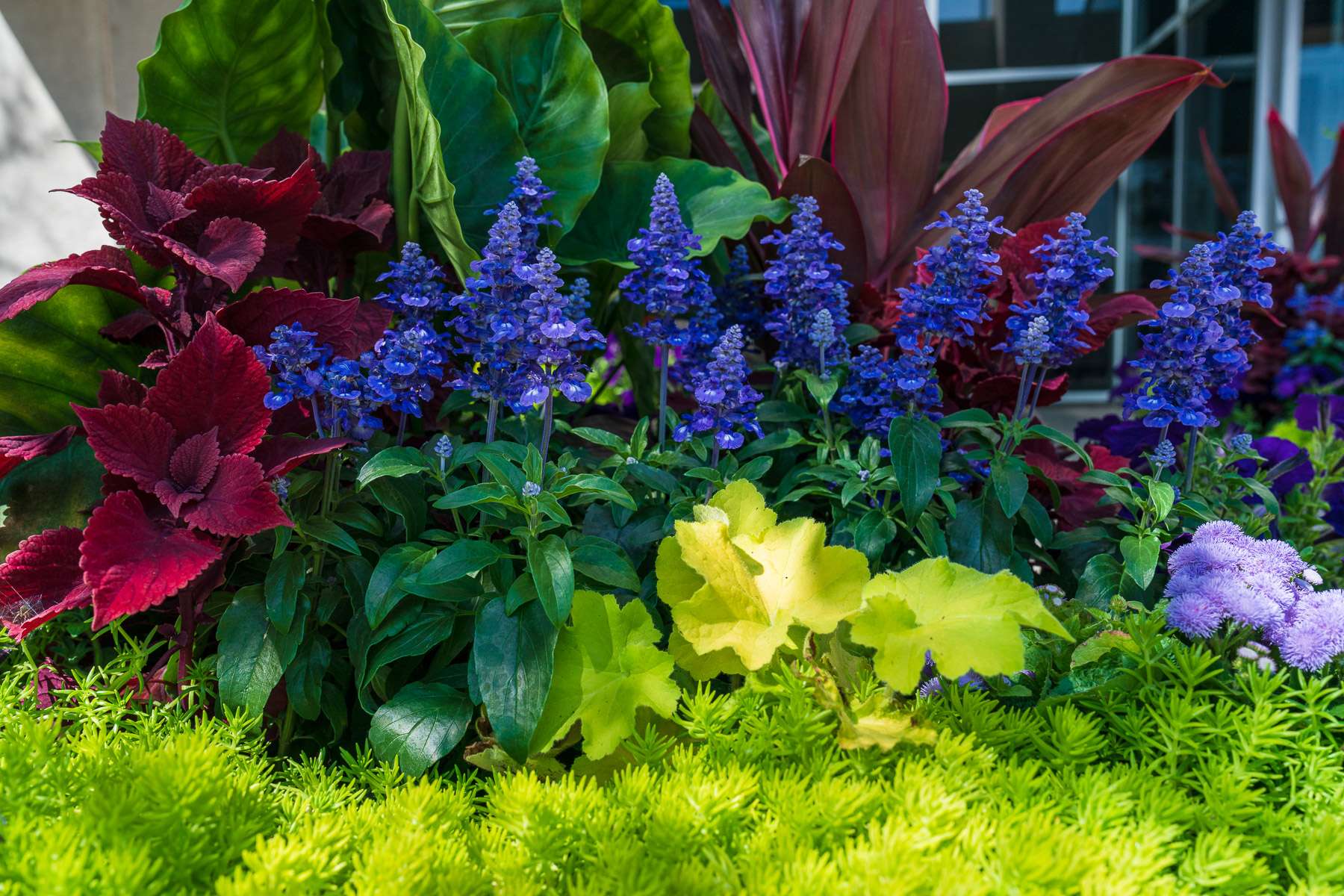 6 Benefits of Adding Flowers & Plants to a Commercial Landscape